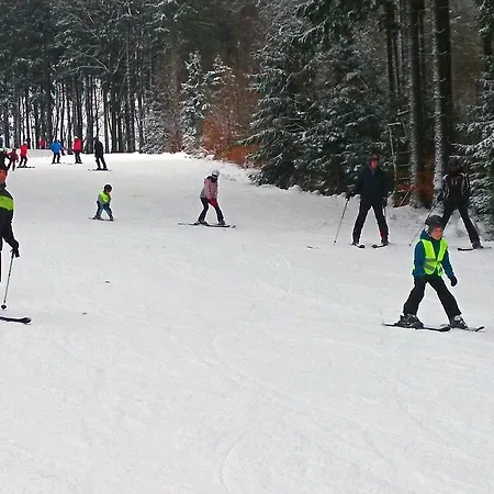 Hotel Křemešník *
